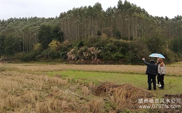 绥化市陈老师带着爱徒寻龙点穴